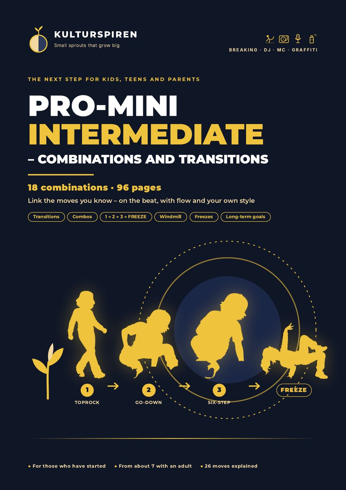 PRO-MINI for viderekommende – kombinasjoner og overganger: forside (engelsk)