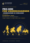 PRO-MINI for viderekommende – kombinasjoner og overganger: forside (norsk)