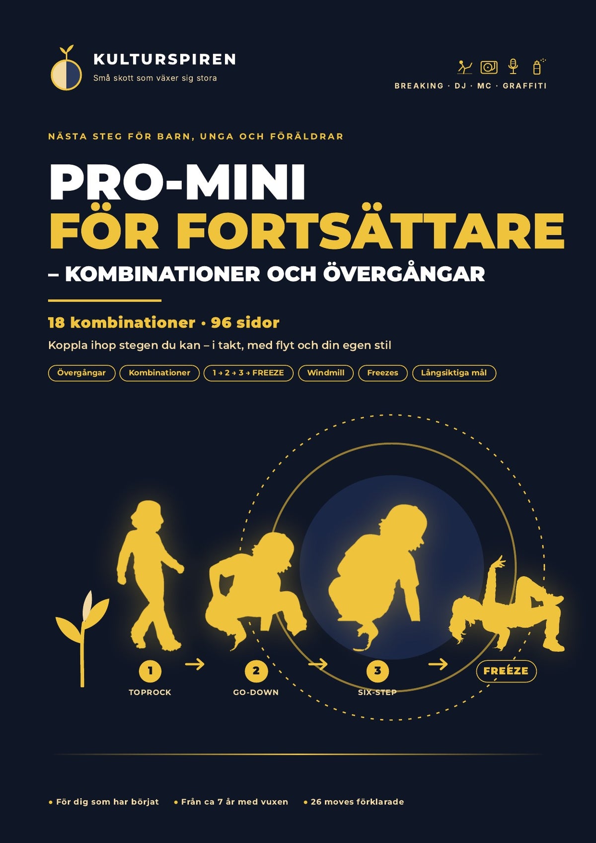 PRO-MINI for viderekommende – kombinasjoner og overganger: forside (svensk)